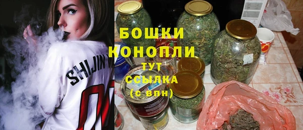 шишки Балабаново
