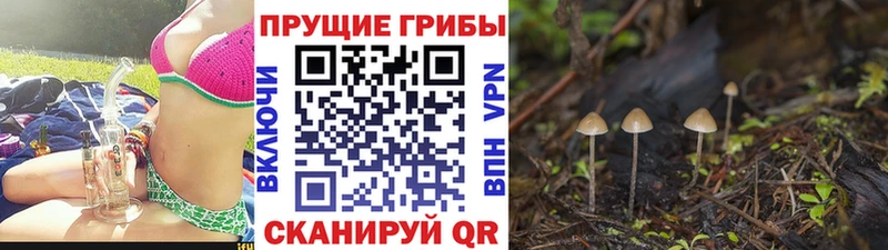 mega зеркало  Сретенск  это наркотические препараты  Псилоцибиновые грибы прущие грибы 